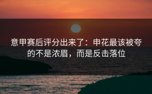 意甲赛后评分出来了：申花最该被夸的不是浓眉，而是反击落位